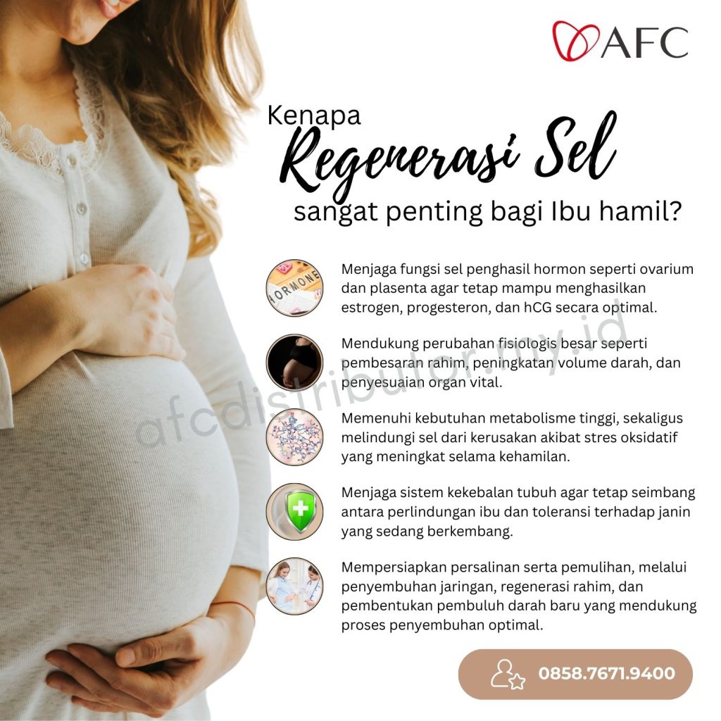 SOP Subarashi, AFC, Ibu Hamil, Masa Kehamilan
